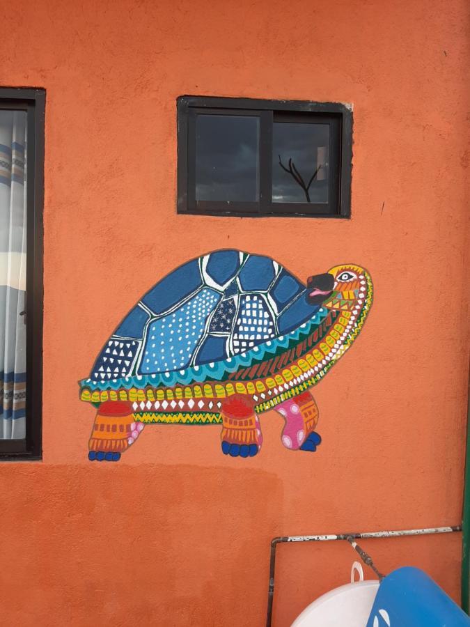 OaxacaCasa Xochimilco公寓 外观 照片